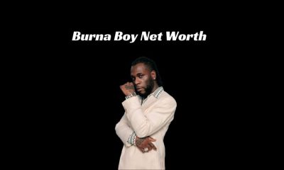 Burna Boy Net Worth