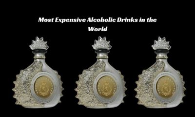 Most Expensive Alcoholic Drinks in the World