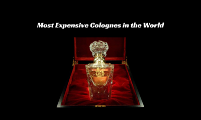 Most Expensive Colognes in the World