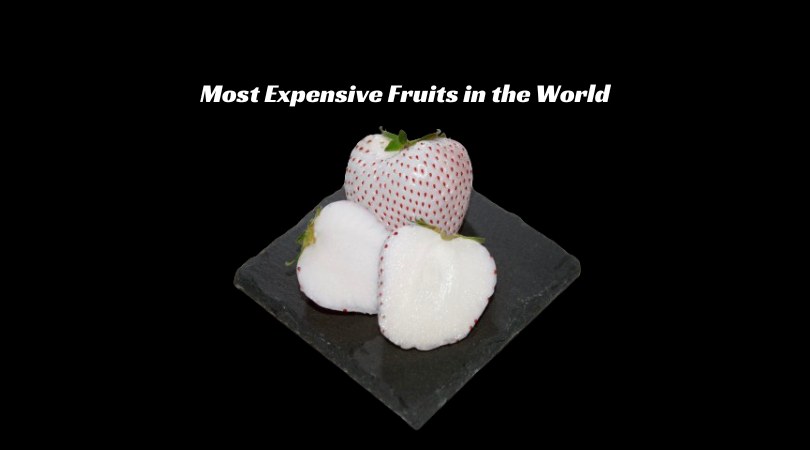 Most Expensive Fruits in the World