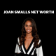 Joan Smalls Net Worth